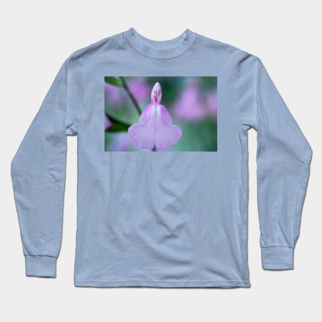 Salvia  &#39;Candy Cream&#39;  Sage Long Sleeve T-Shirt by chrisburrows